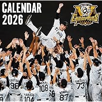 阪神タイガース 日めくり卓上カレンダー 2007年版 81PrpX+1XnL._AC_UL210_SR210,
